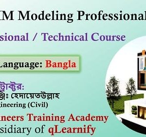 Revit BIM Modeling Professional Course